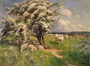 Schapen en vee in een landschap